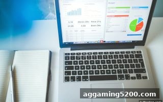 立博体育中文版深度解析：游戏投注风险控制的核心价值与安全策略