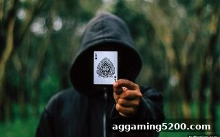 从立博体育中文版看胜率数据：深度解析与实战应用指南