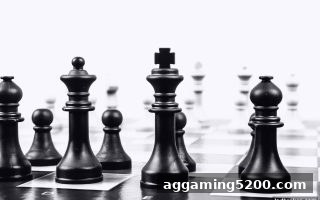 立博体育中文版深度解析：推牌九决策思维——概率、心理与策略全面指南