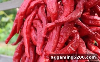 牛牛概率深度指南：立博体育中文版带您科学博弈
