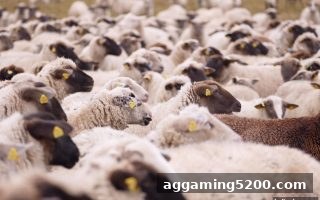 立博体育中文版深度解析：欧冠与Dota2直播的竞技魅力与返利新玩法